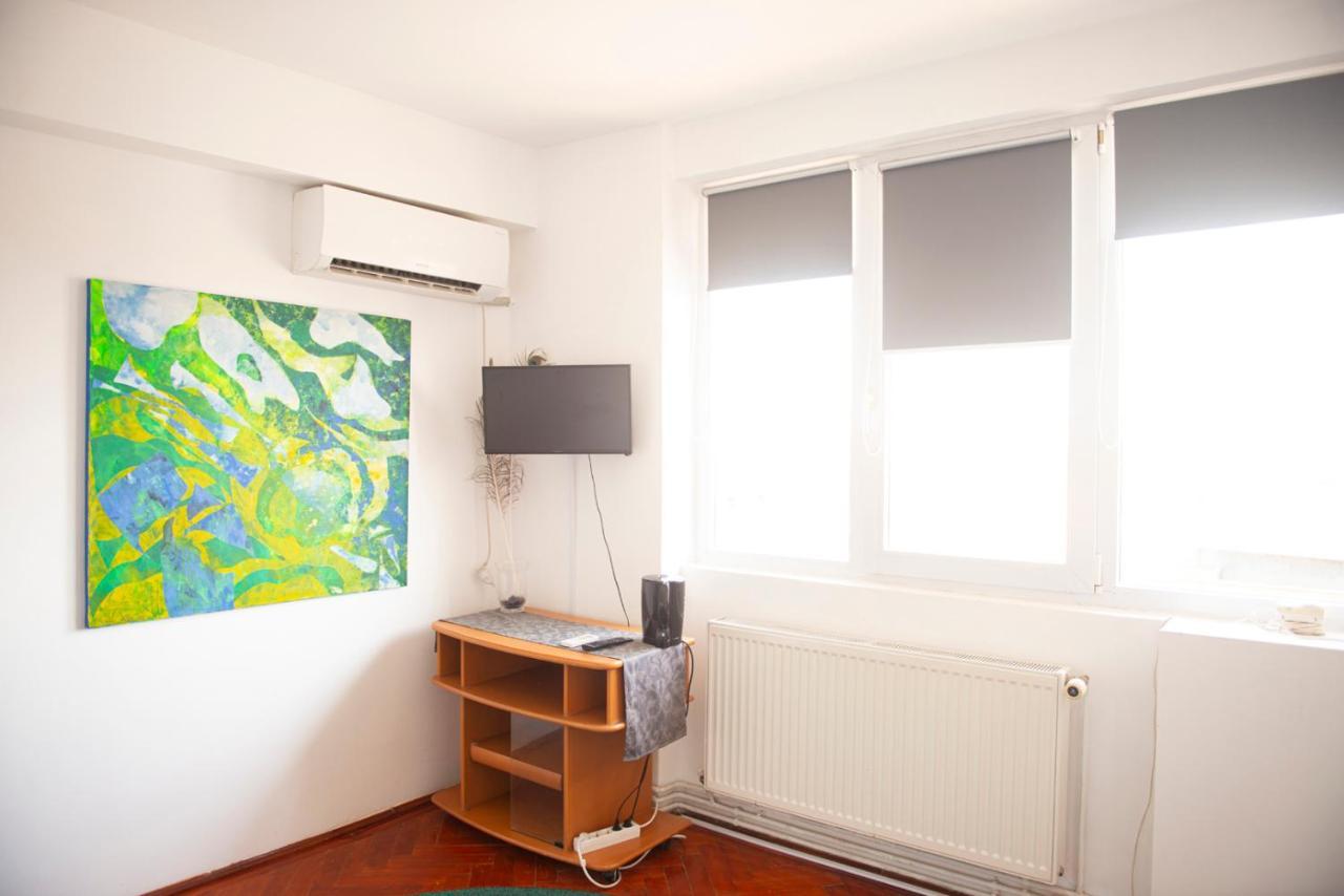 Central Apartment Тимишоара Екстериор снимка